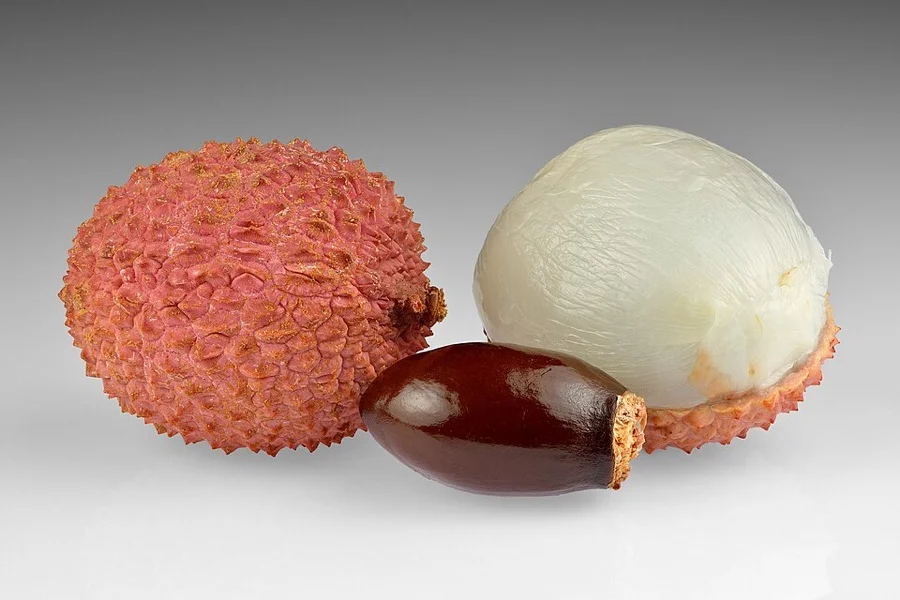 Shahi Litchi of Muzaffarpur - State Fruit of Bihar