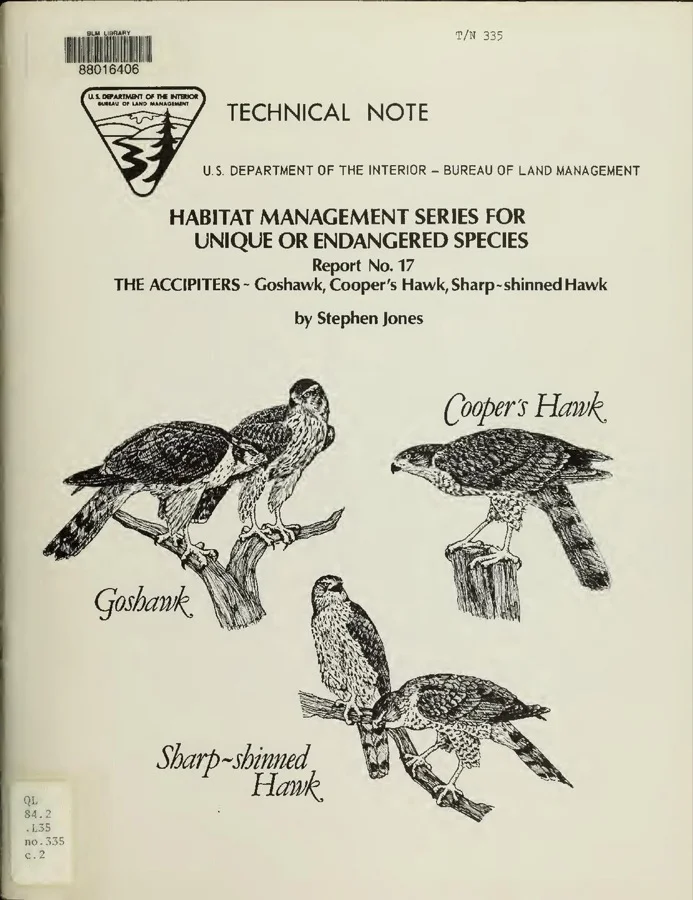 Northern Goshawk / Baaj - State Bird of Punjab
